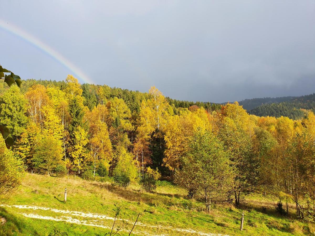 Apartamento Ksiezycowa Dolina Lądek-Zdrój Exterior foto